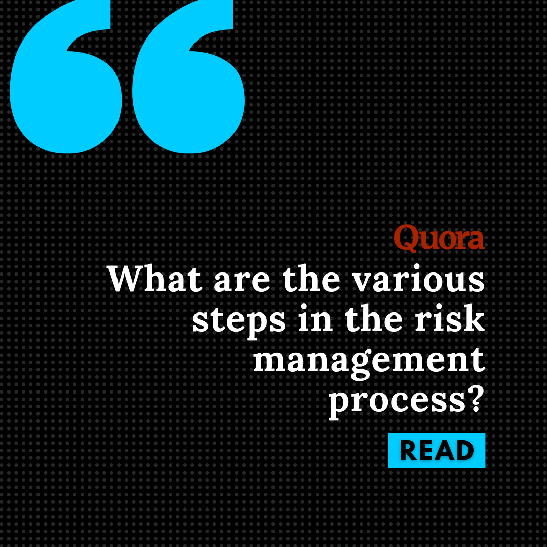 What are the various steps in the risk management process? Cover