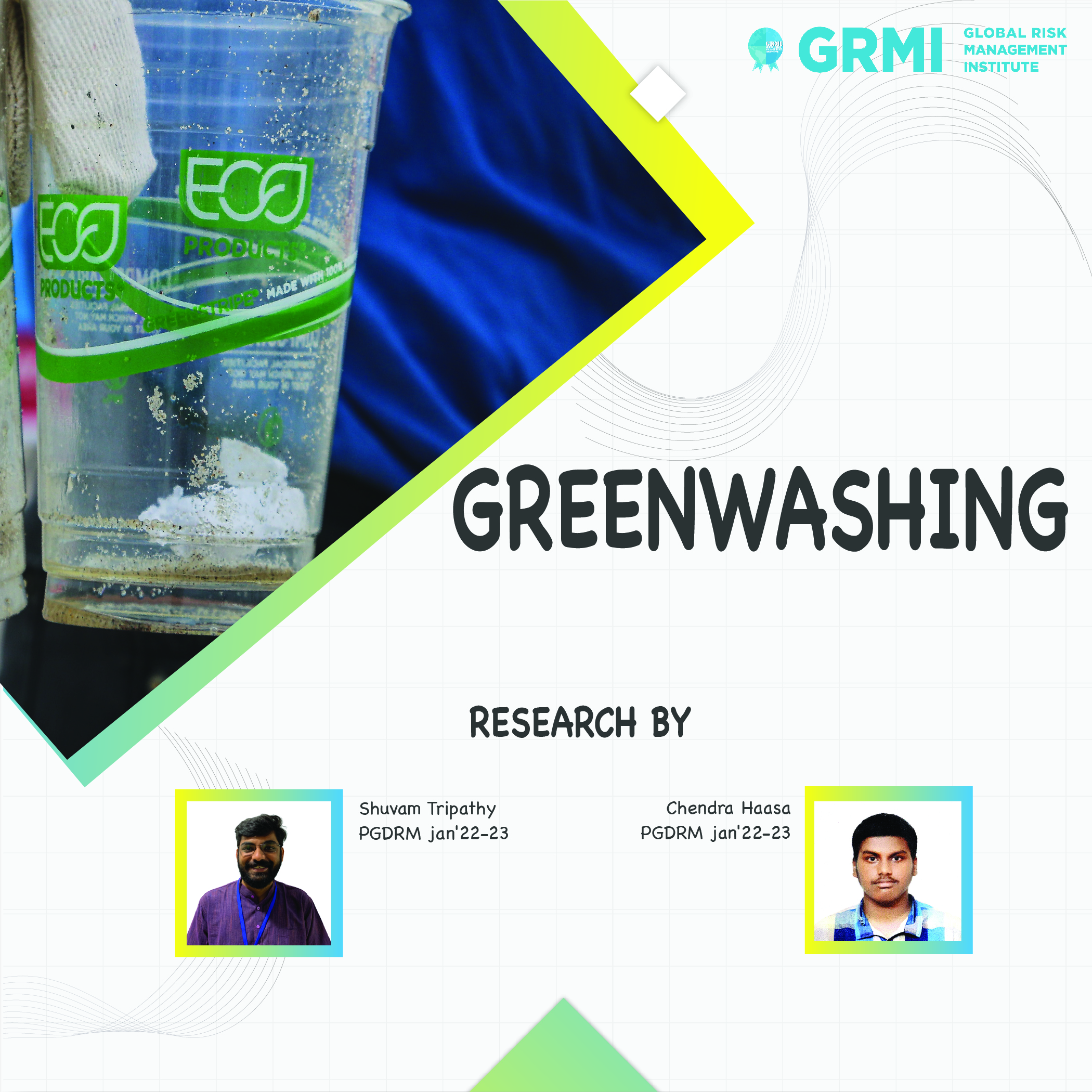 Research Study on Greenwashing Cover