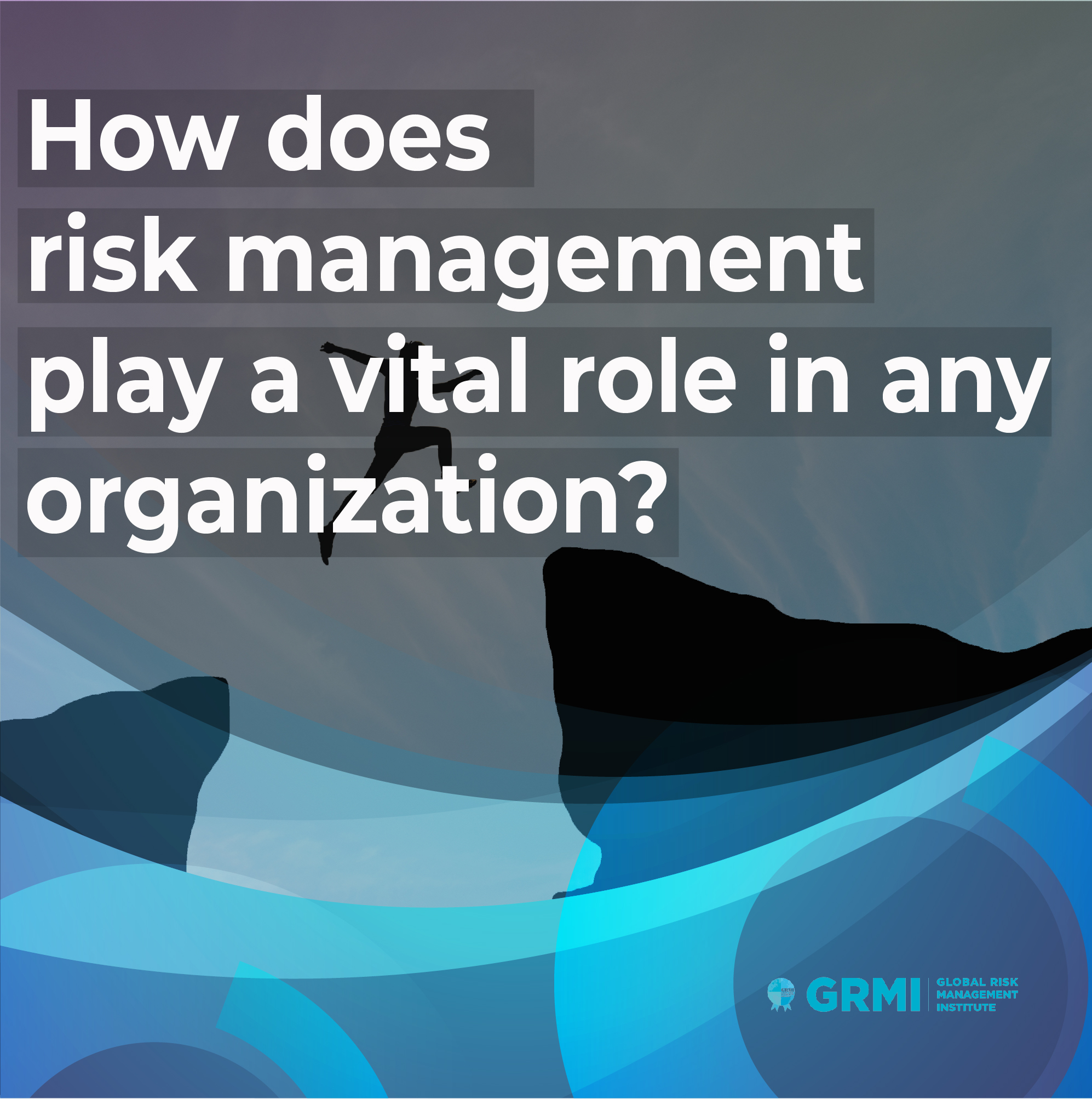 How does Risk Management play a vital role in any organization? Cover