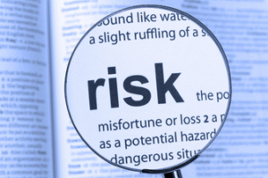What is ‘Risk Identification’ in a risk management system