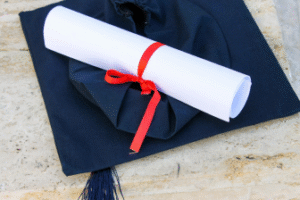 Career Opportunities After a Diploma in IT