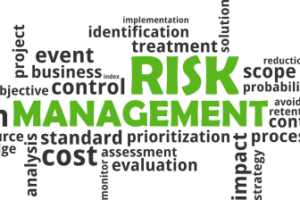 What is the Best Course in Risk Management in India