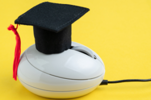 Career Scope After IT Diploma Courses